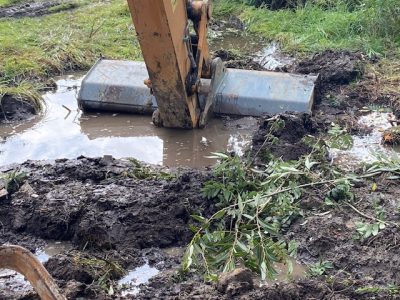 65157152145__C0804B62-2C68-436B-8AA0-4993420392A9